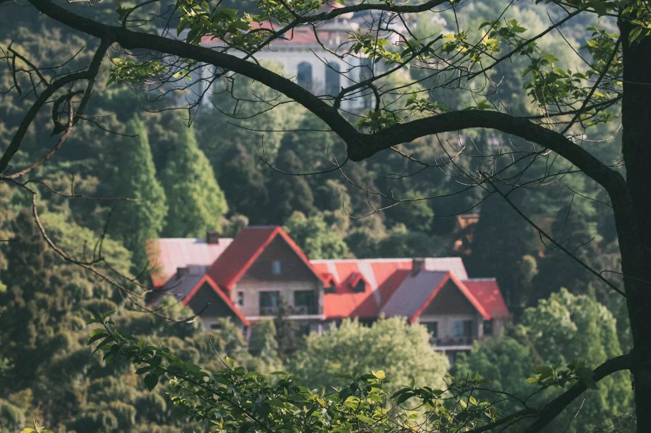 莫干山·三秋美宿，一日不見三秋盼兮