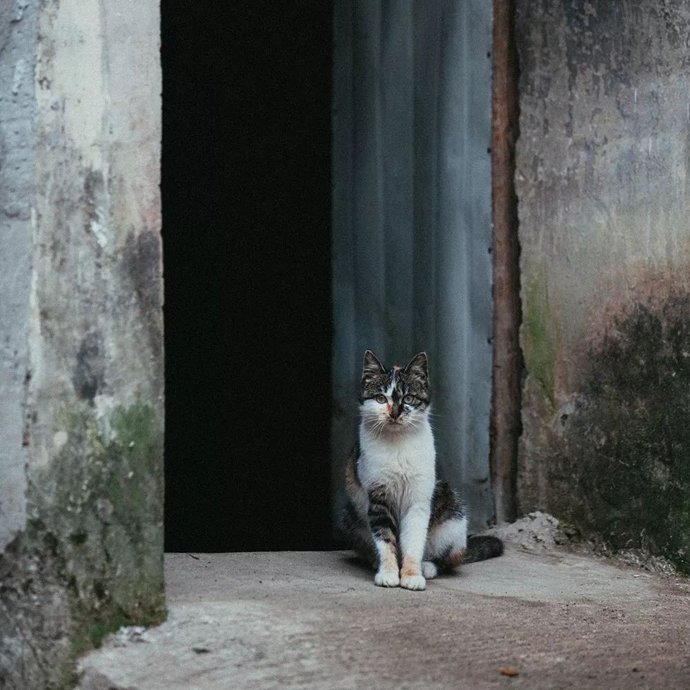 莫干山·三秋美宿，一日不見三秋盼兮