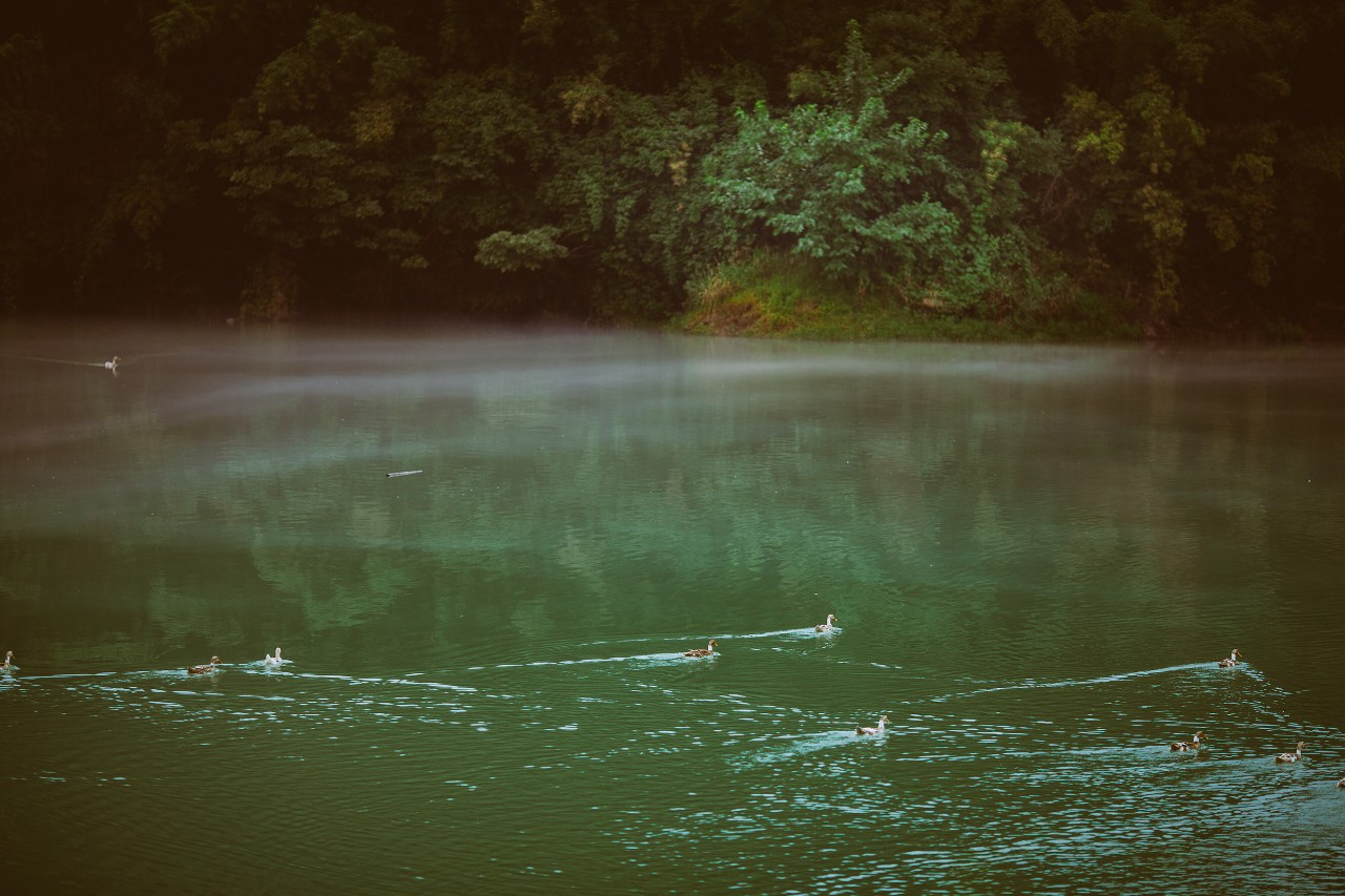 莫干山·三秋美宿，一日不見三秋盼兮