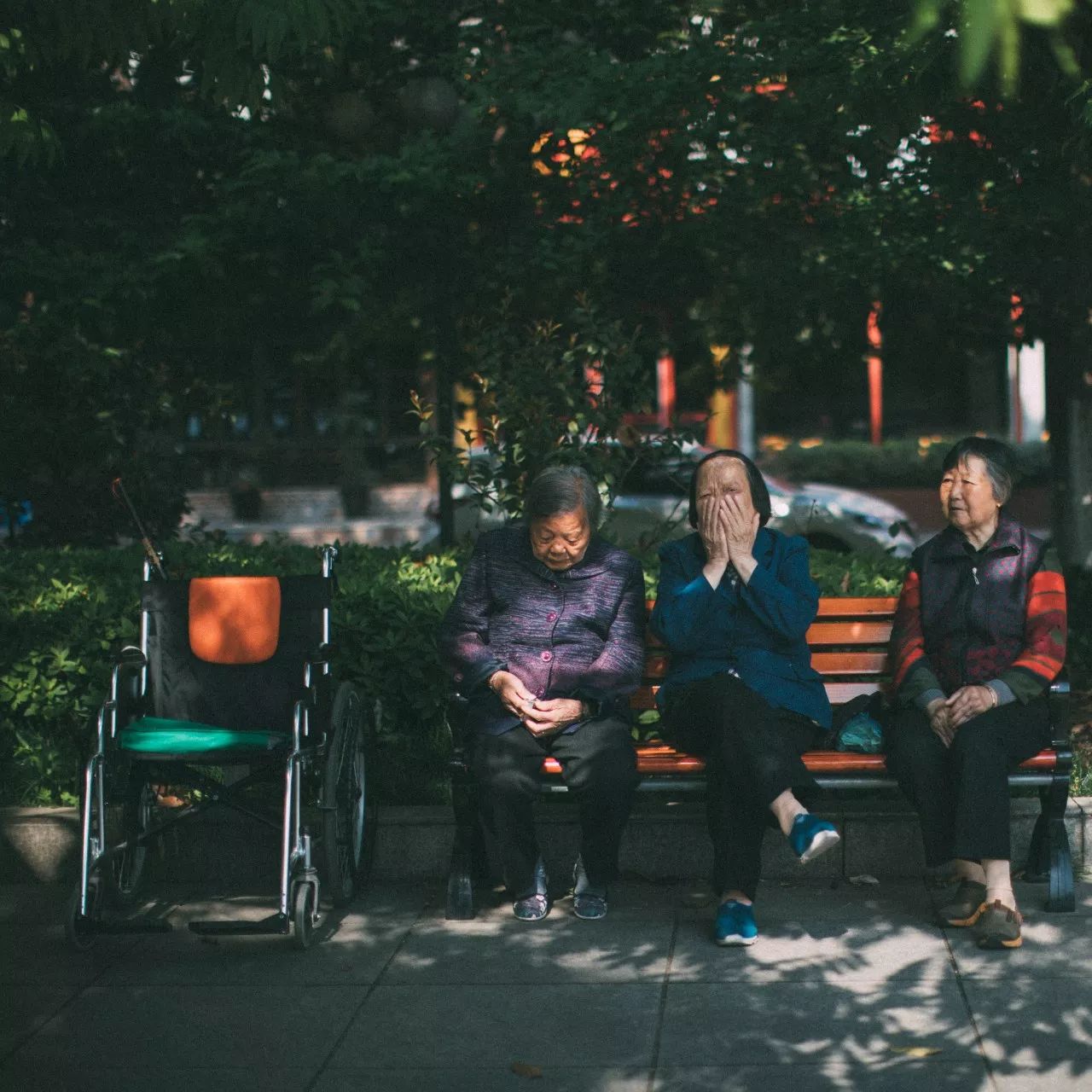 莫干山·三秋美宿，一日不見三秋盼兮