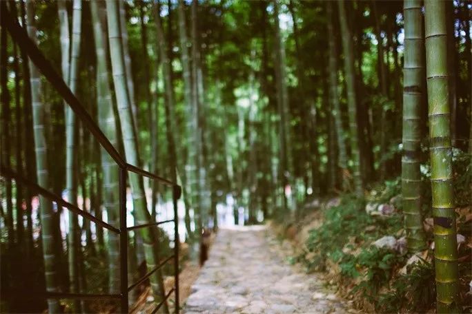 莫干山·三秋美宿，一日不見三秋盼兮