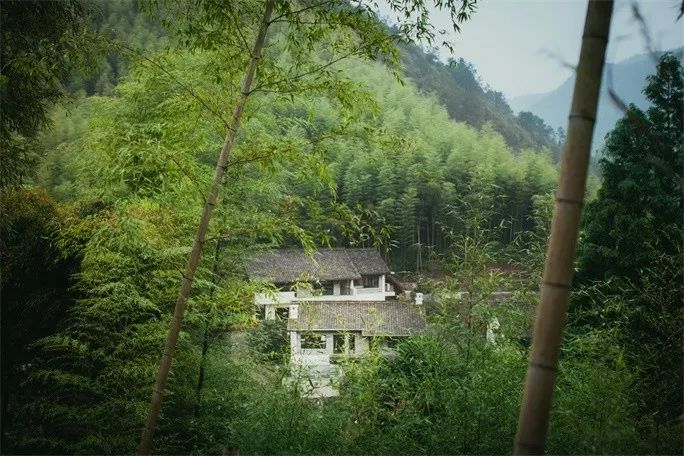 莫干山·三秋美宿，一日不見(jiàn)三秋盼兮