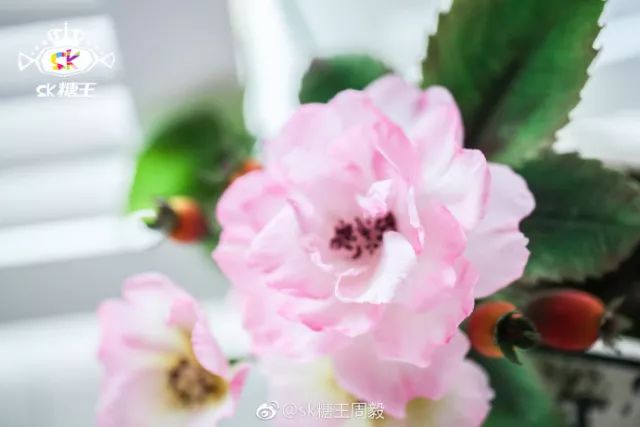 一代糖王，技術(shù)之路沒有終點不忘初心砥礪前行