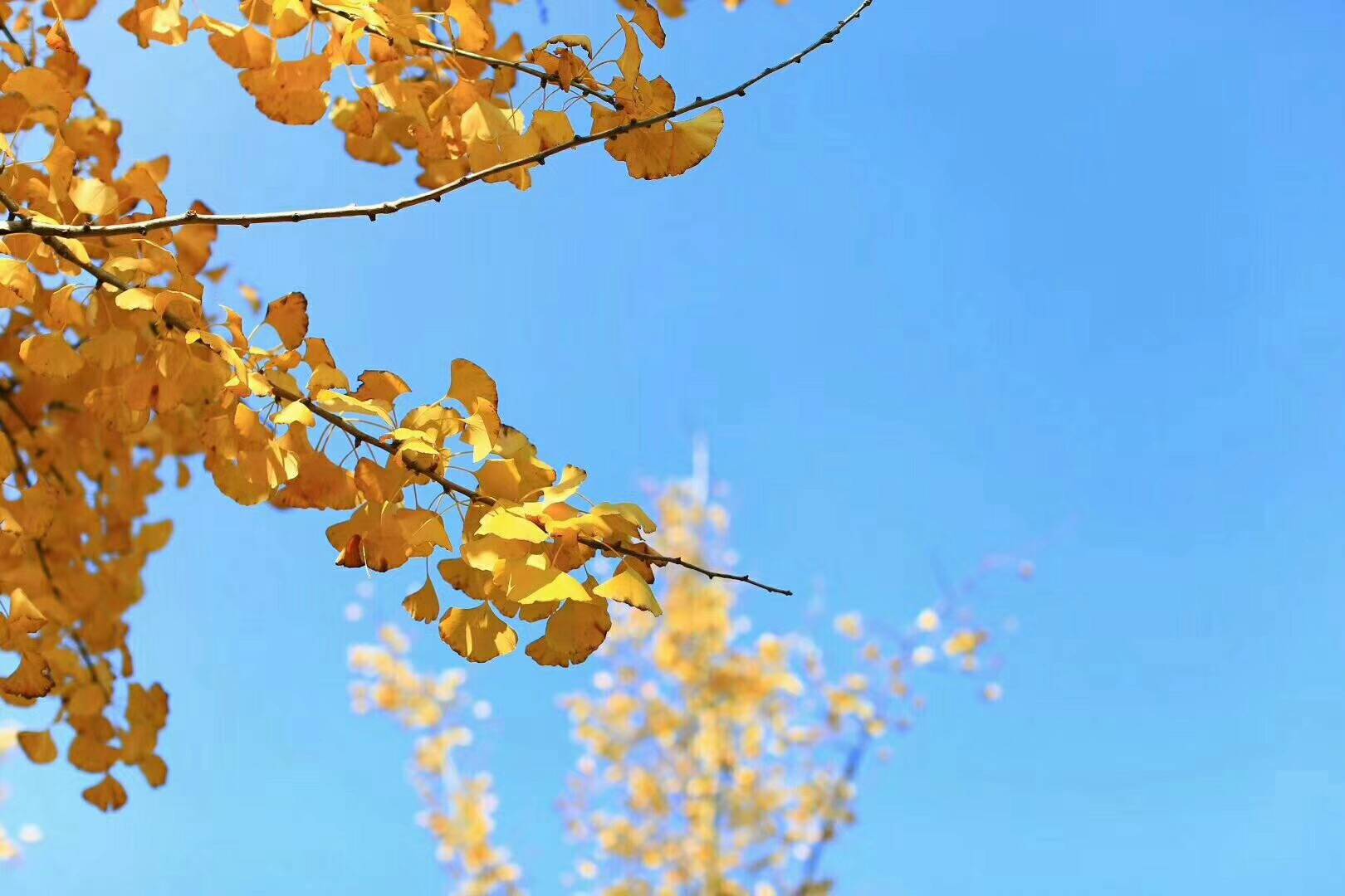 大理洱海·歸心，歸心看海煙雨江南