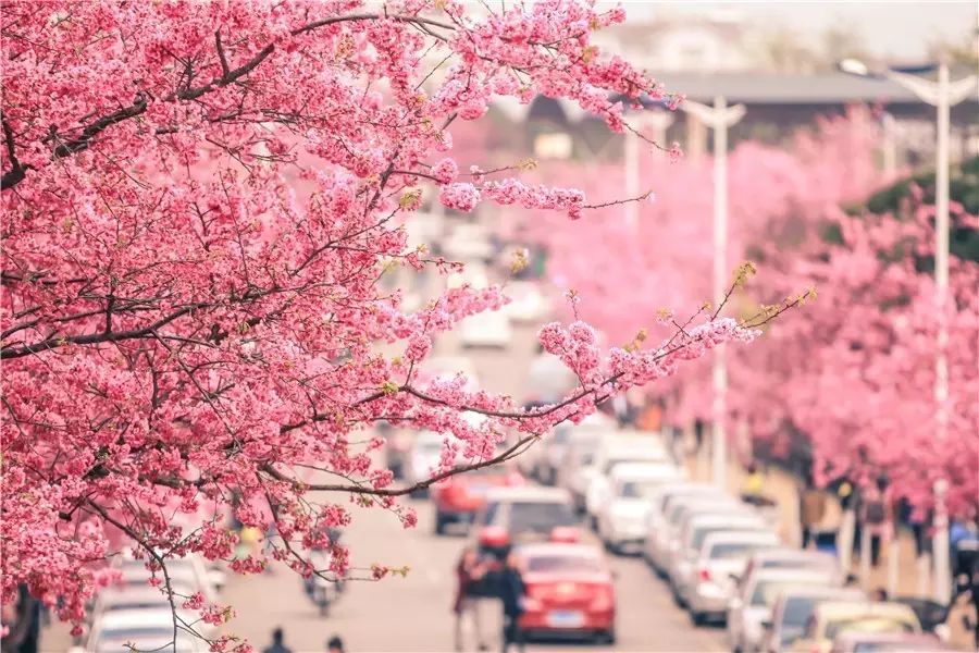 大理洱?！w心，歸心看海煙雨江南