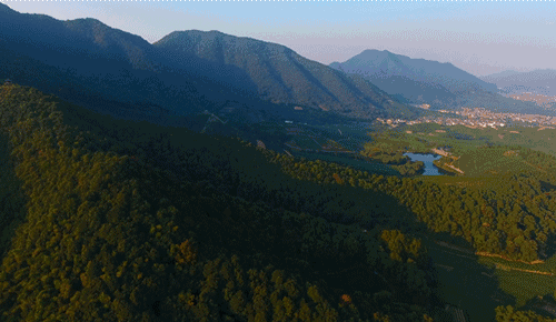 杭州·長(zhǎng)鏡頭，一所電影時(shí)光主題民宿