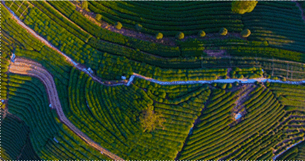 杭州·長(zhǎng)鏡頭，一所電影時(shí)光主題民宿