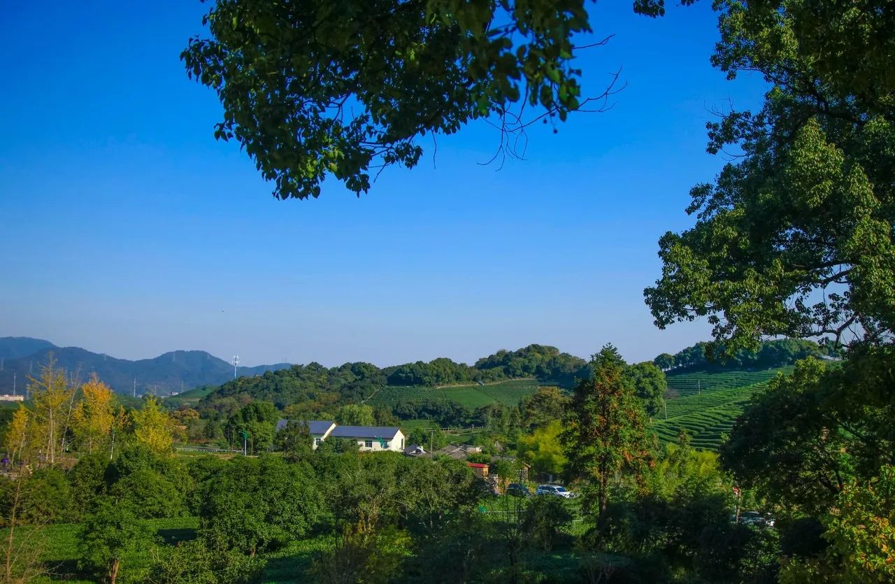 杭州·長(zhǎng)鏡頭，一所電影時(shí)光主題民宿