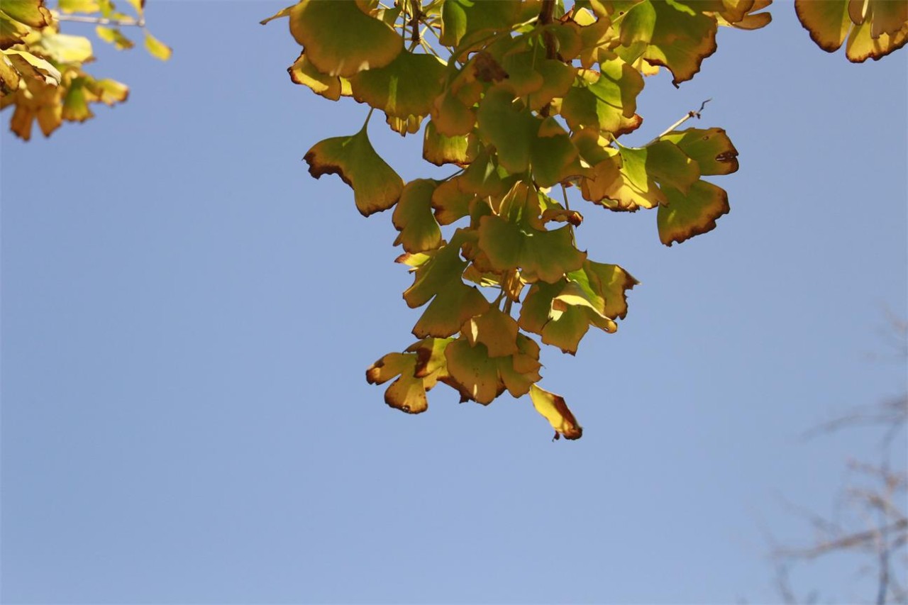 杭州·長(zhǎng)鏡頭，一所電影時(shí)光主題民宿