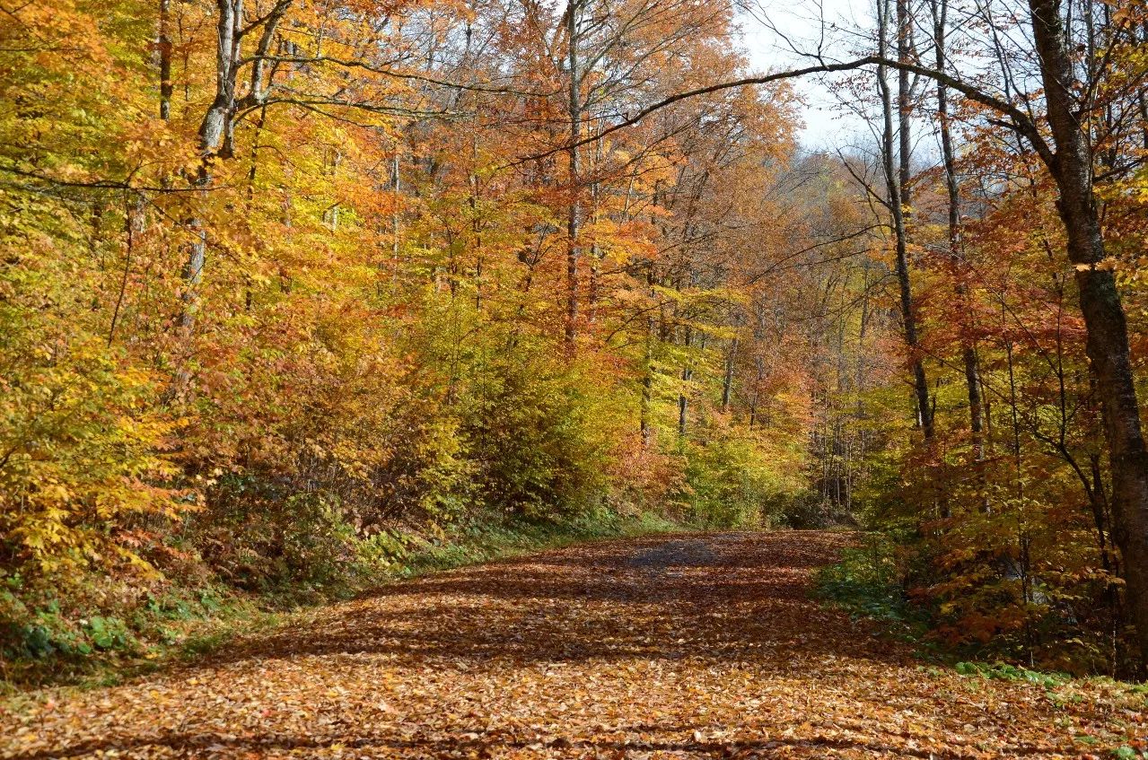 杭州·長(zhǎng)鏡頭，一所電影時(shí)光主題民宿