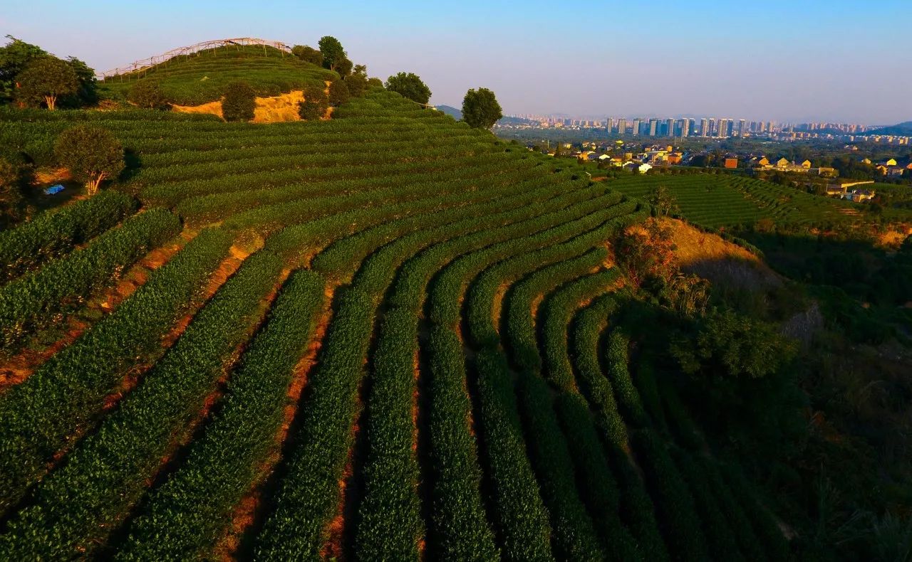 杭州·長鏡頭，一所電影時光主題民宿