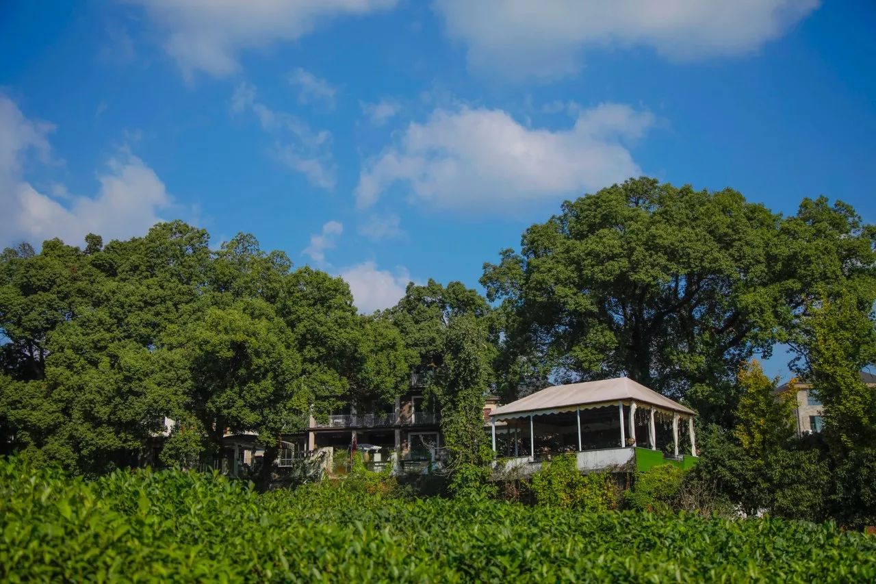 杭州·長鏡頭，一所電影時光主題民宿