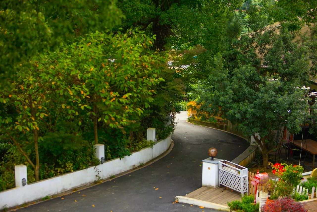 杭州·長鏡頭，一所電影時光主題民宿