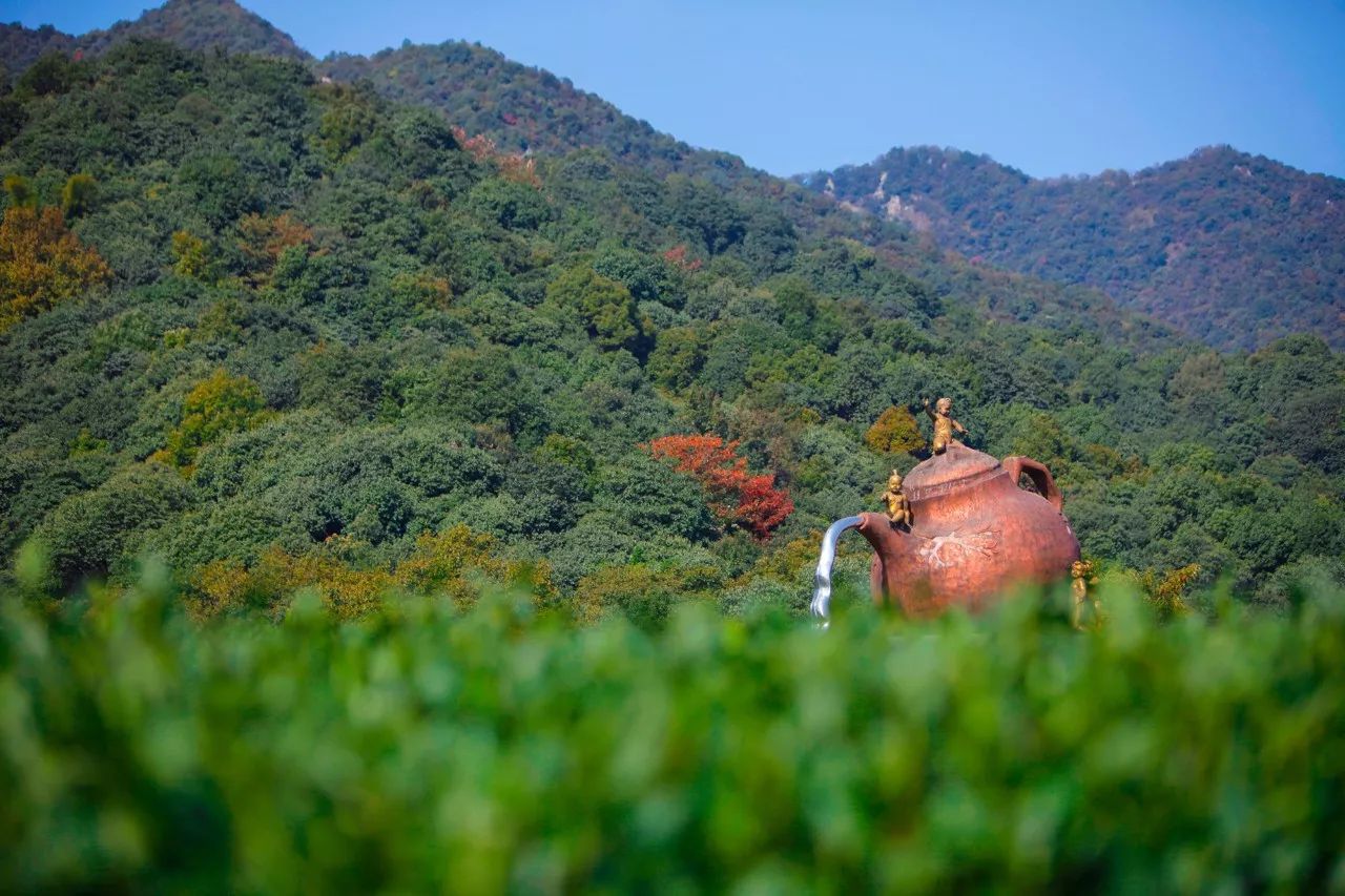 杭州·長鏡頭，一所電影時光主題民宿