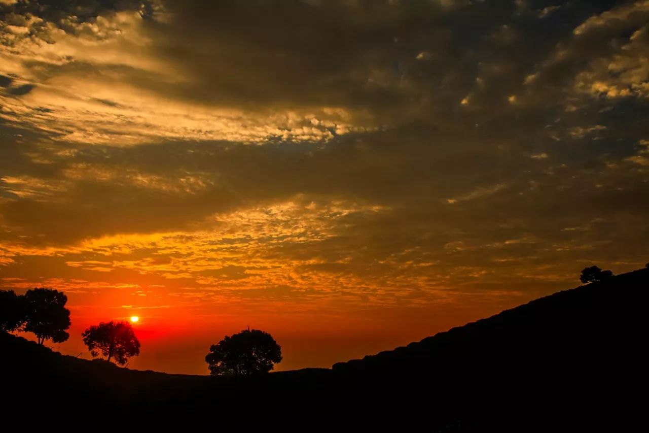 杭州·長鏡頭，一所電影時光主題民宿