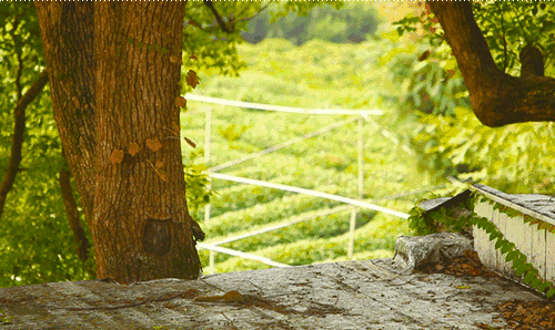 杭州·長鏡頭，一所電影時光主題民宿