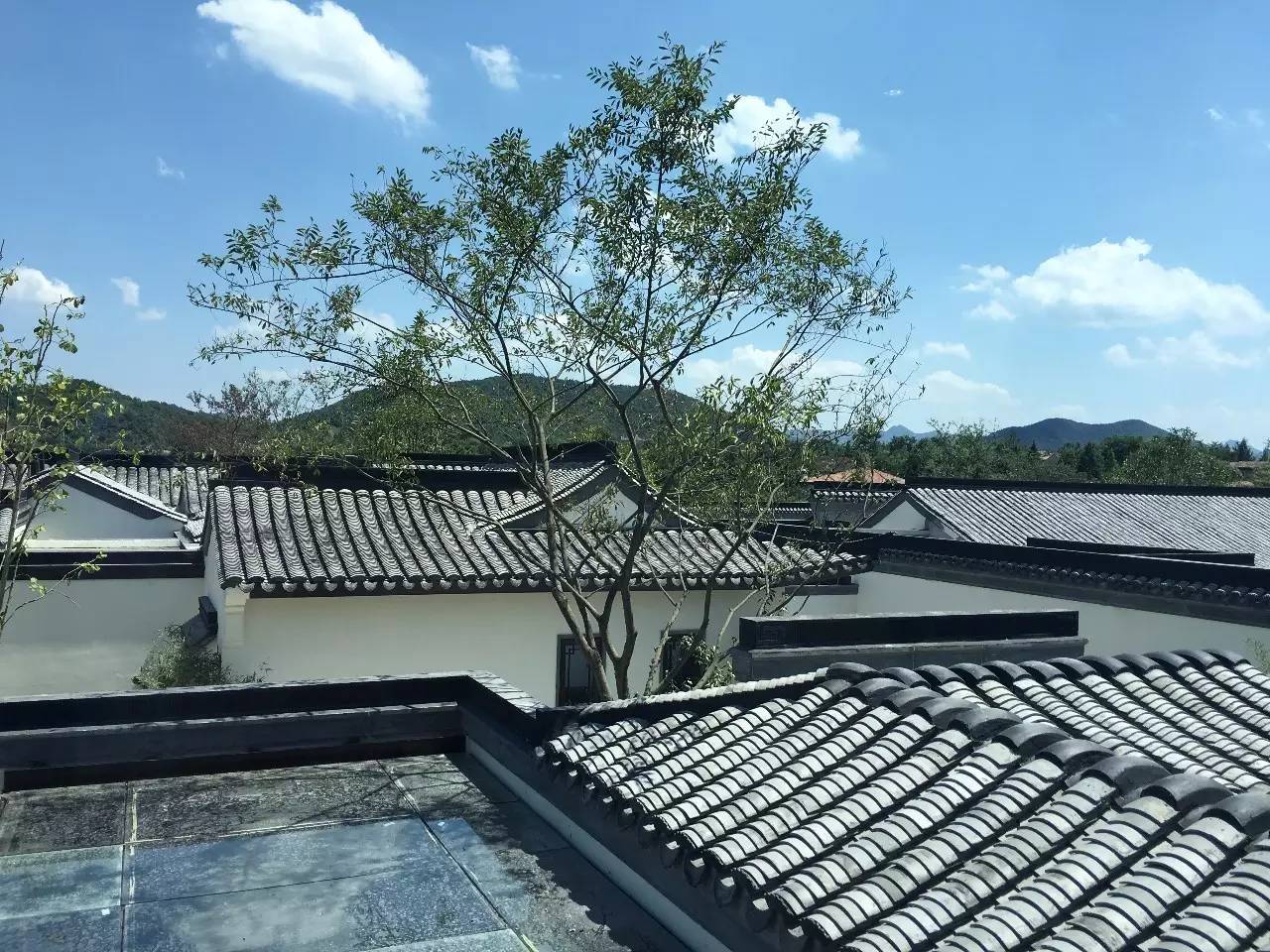 10所綠城·中式宅院，何必羨“西風(fēng)”中式乃最美