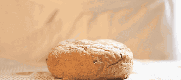 零搟健康面包店，講究不將就