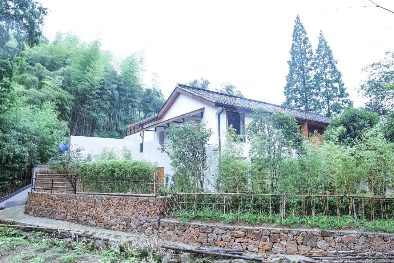 莫干山·西璞，睡進(jìn)梵高的畫(huà)里