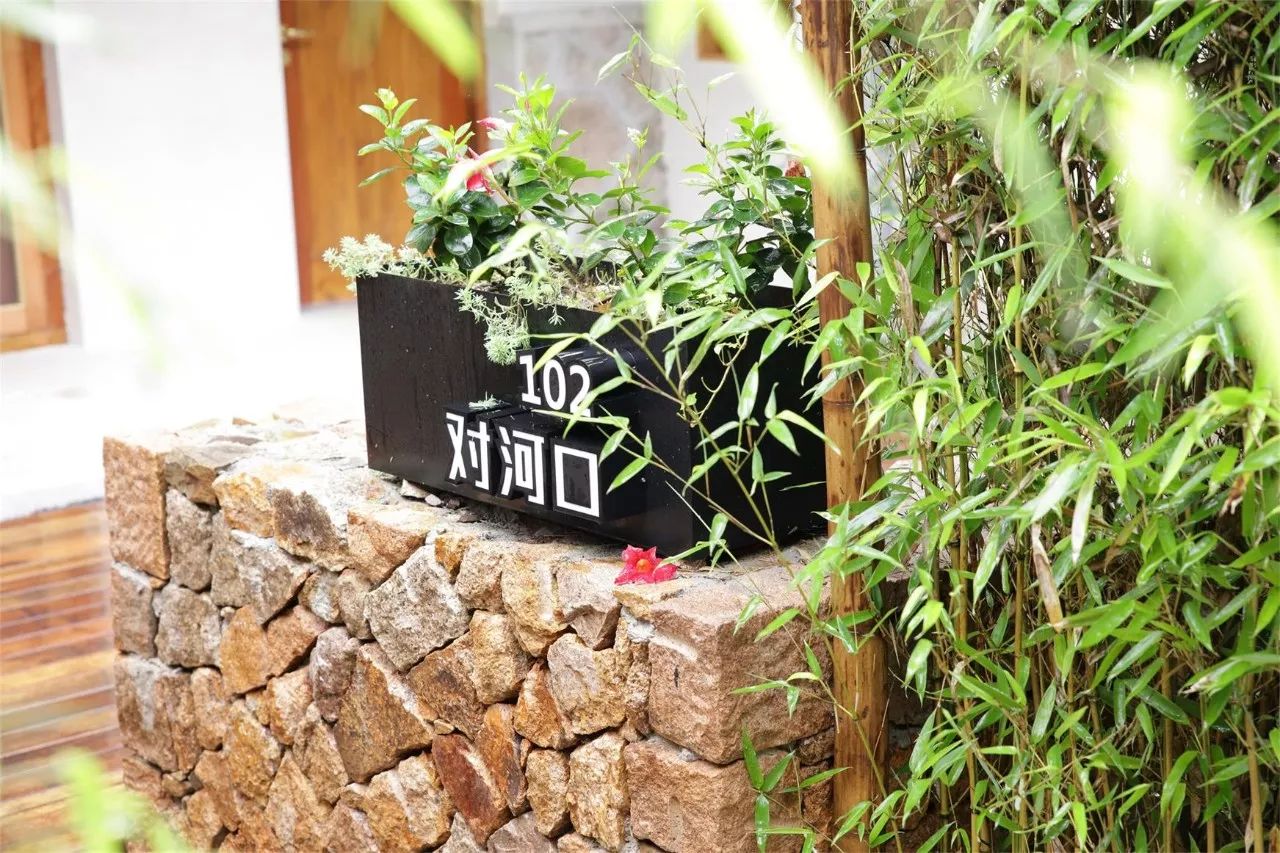 莫干山·西璞，睡進(jìn)梵高的畫里