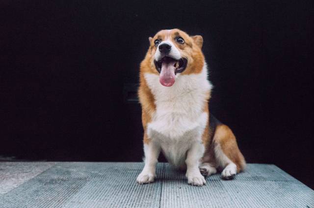 杭州·簡象，一種別樣的復(fù)古情調(diào)