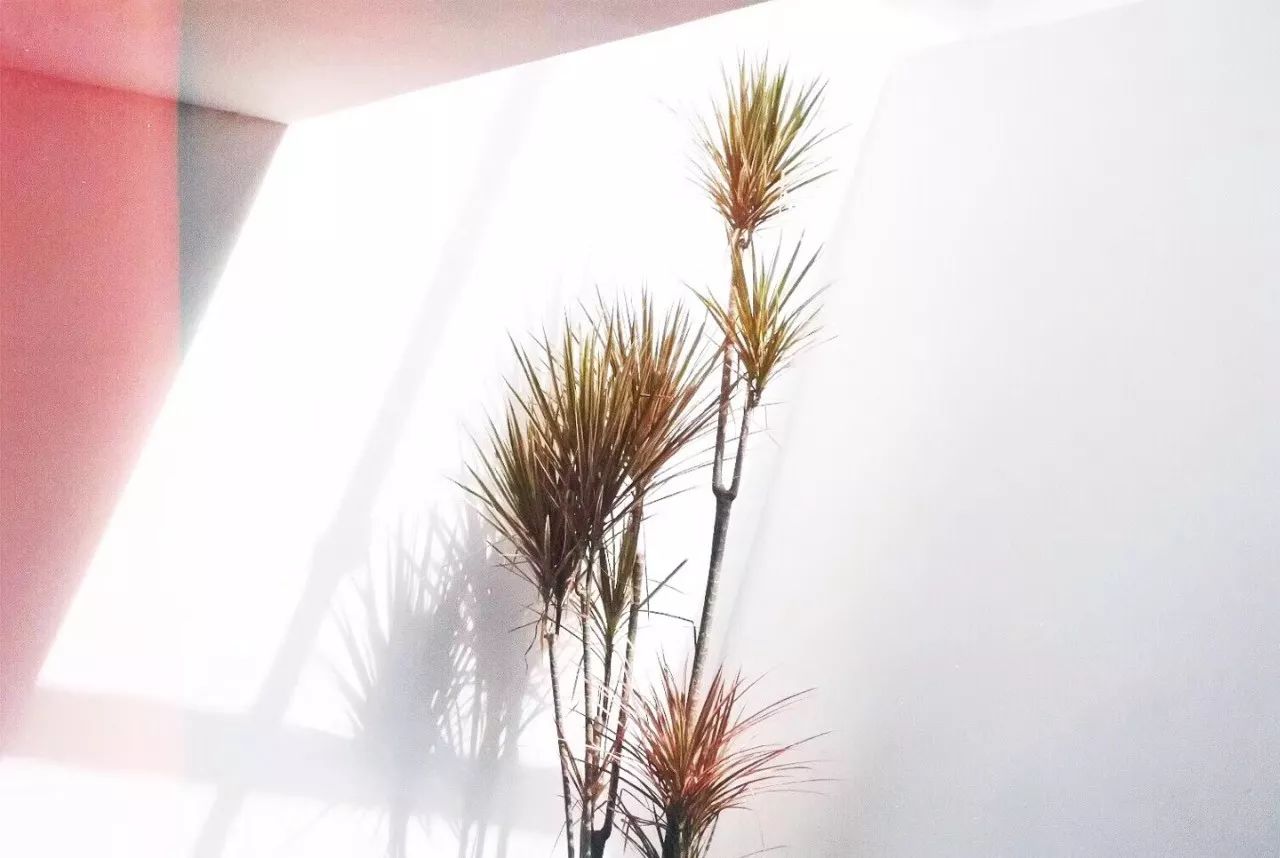 杭州·簡象，一種別樣的復(fù)古情調(diào)