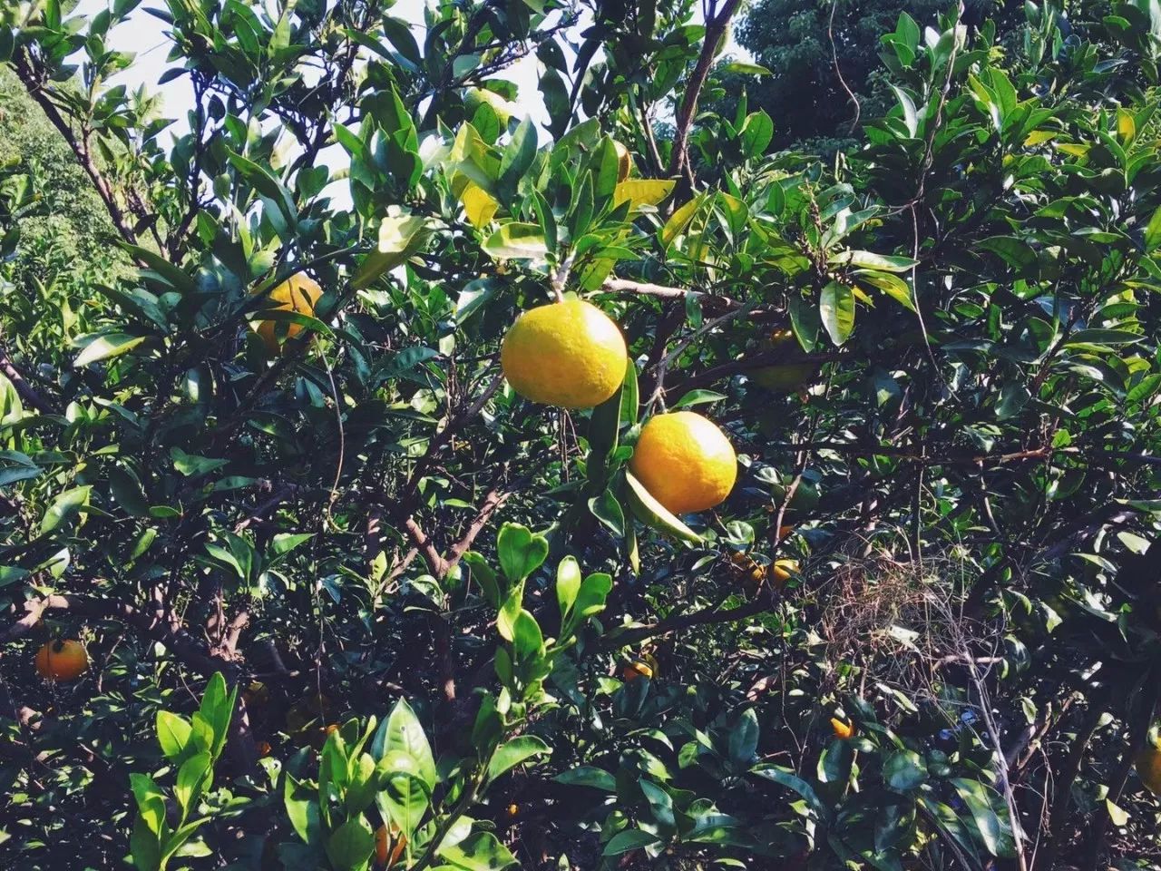 浙江海寧·名力朗豪酒店，十八般武藝帶你上天