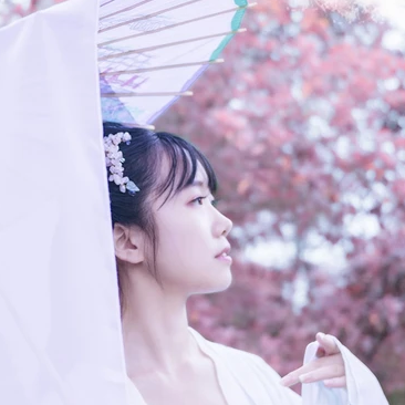 粉紫小清新帶團扇傘頭像，唯美古風真人頭像