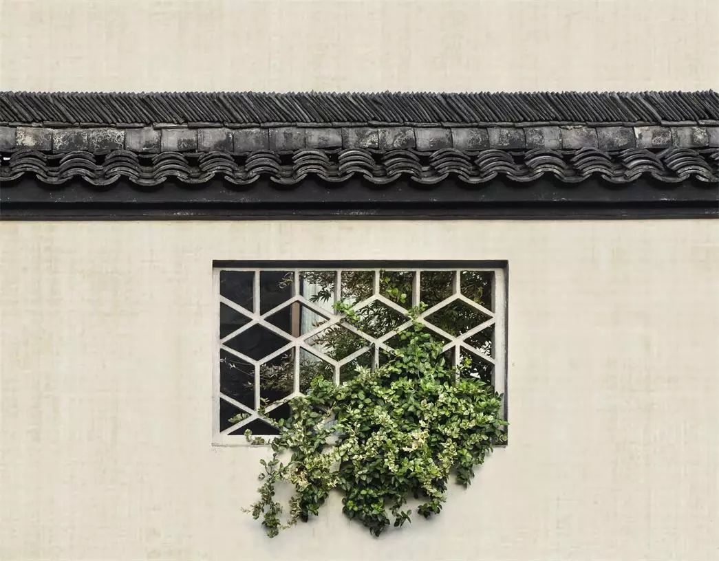 蘇州·七隱藝宿家，給這座姑蘇古城一個恣意江湖