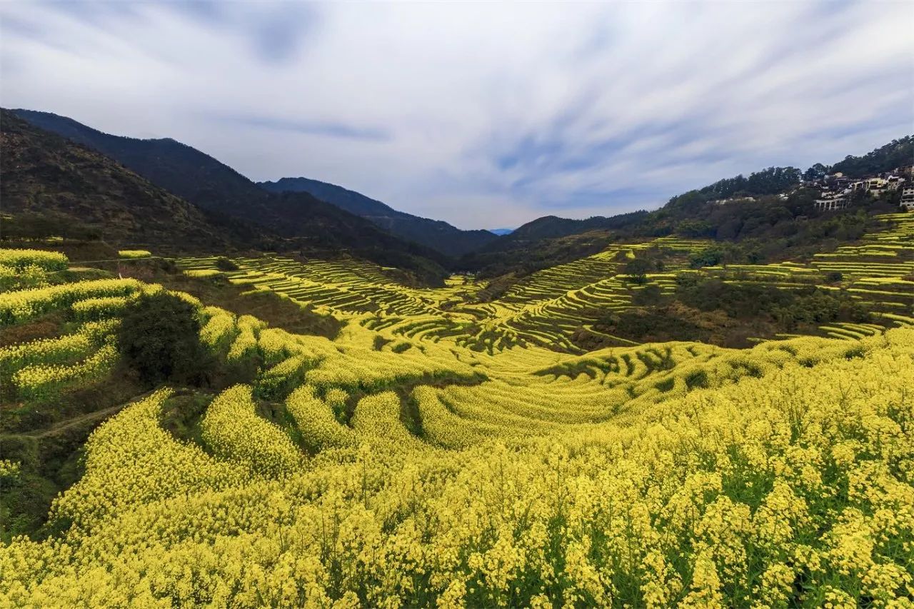 婺源·物上，平淡溫柔別有滋味