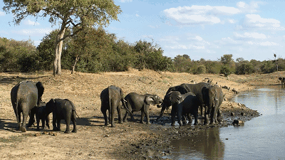 婺源·物上，平淡溫柔別有滋味