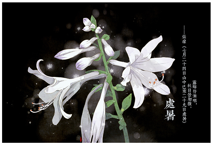 唯美的24節(jié)氣花卉插畫，品味古老的詩之清韻