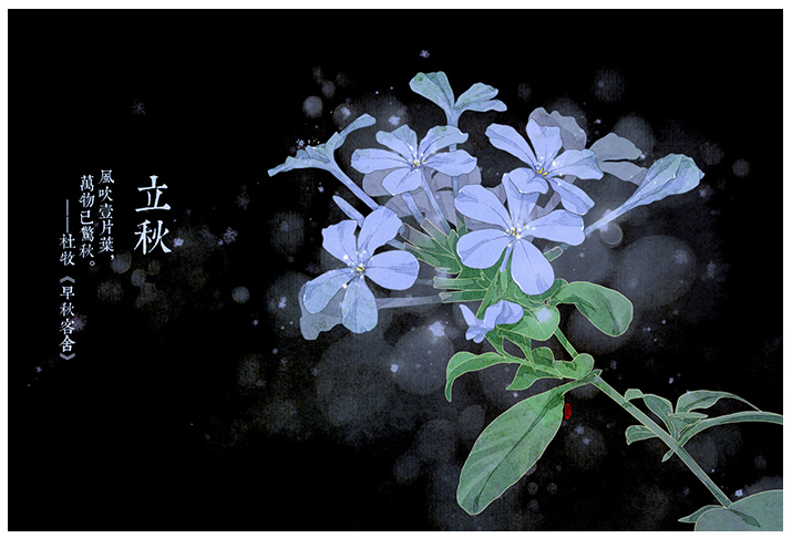 唯美的24節(jié)氣花卉插畫，品味古老的詩之清韻