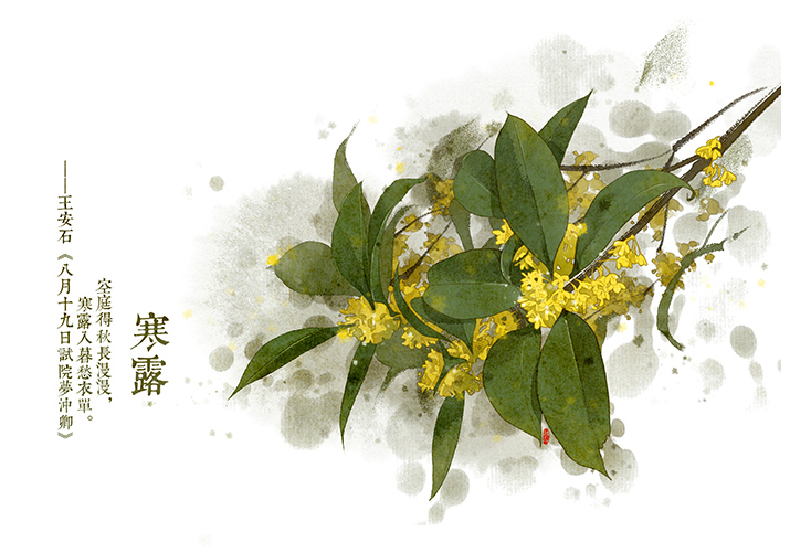 唯美的24節(jié)氣花卉插畫，品味古老的詩之清韻