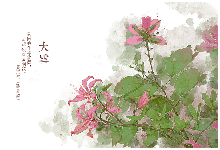 唯美的24節(jié)氣花卉插畫，品味古老的詩之清韻