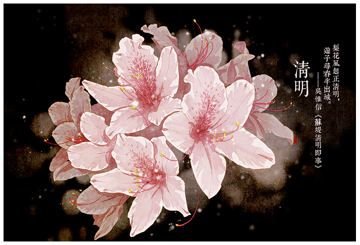 唯美的24節(jié)氣花卉插畫(huà)，品味古老的詩(shī)之清韻