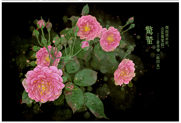 唯美的24節(jié)氣花卉插畫(huà)，品味古老的詩(shī)之清韻