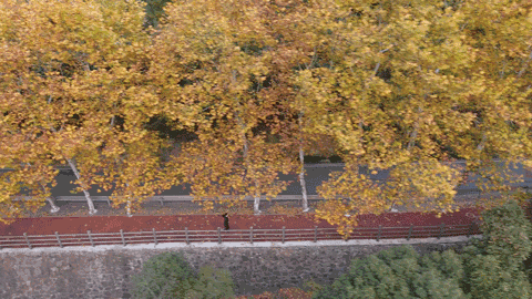 桐廬·流云，古村也有了云的靈動(dòng)氣息