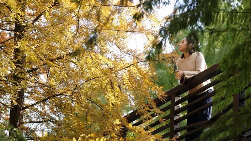 蘇州·萬(wàn)伊，拾起漫長(zhǎng)歲月里的時(shí)光遺珠