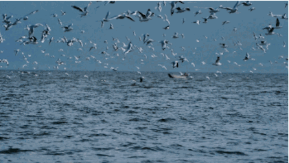 大理·無(wú)字號(hào)，背靠蒼山面朝洱海虛度時(shí)光