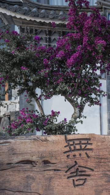 大理·無(wú)字號(hào)，背靠蒼山面朝洱海虛度時(shí)光