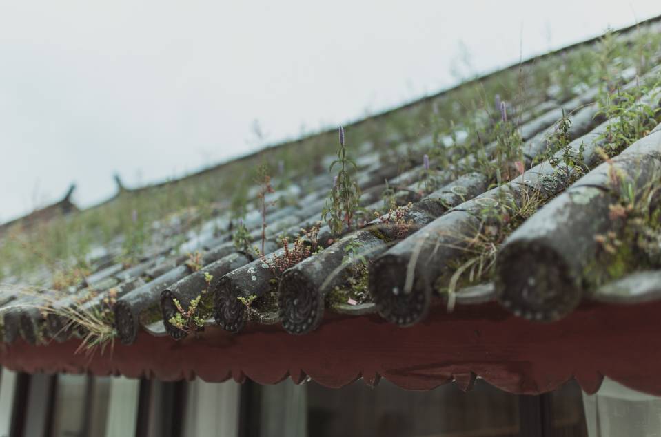 大理·無字號(hào)，背靠蒼山面朝洱海虛度時(shí)光
