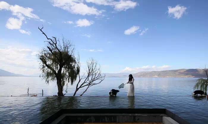 大理·無(wú)字號(hào)，背靠蒼山面朝洱海虛度時(shí)光