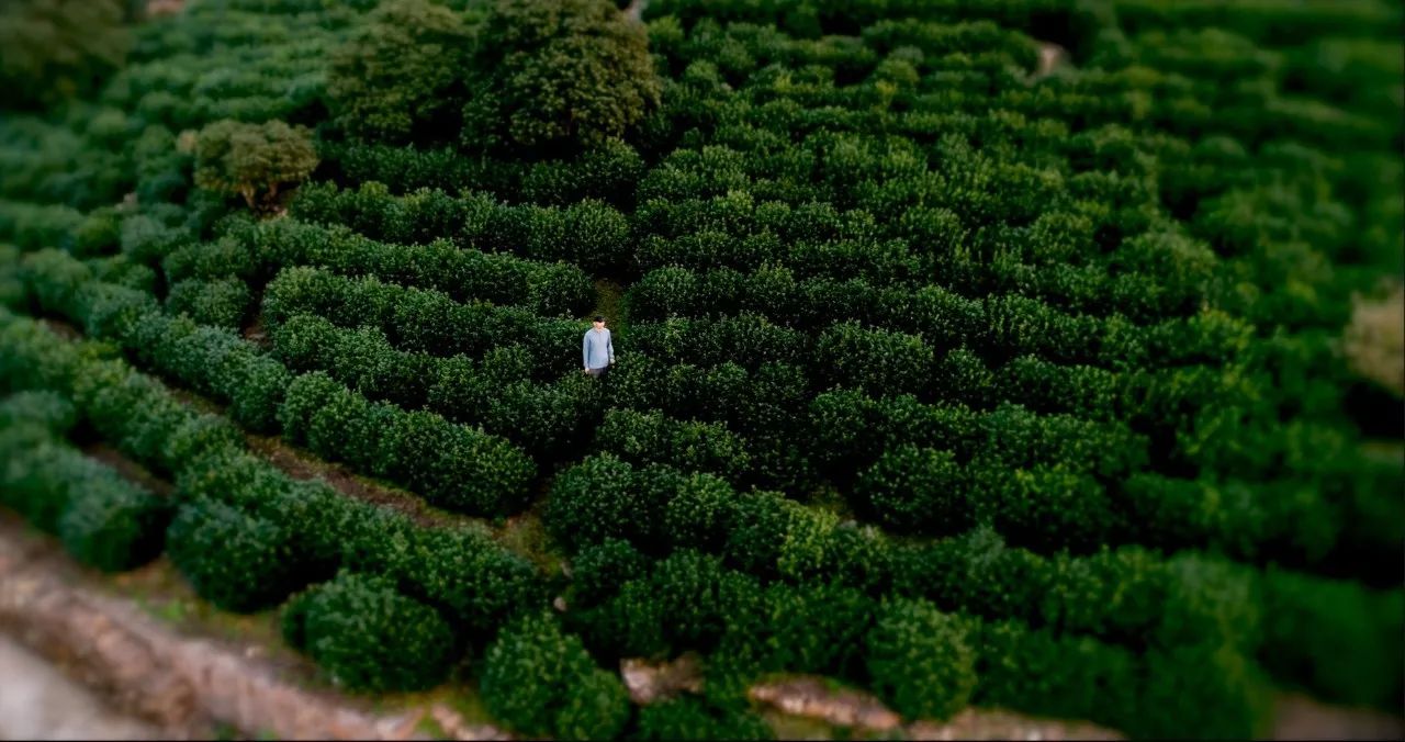 蘇州·天易居，西山鎮(zhèn)獨居一隅宛如桃源