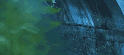 西塘·大舍客棧，自舍己樂施于他人是名大舍