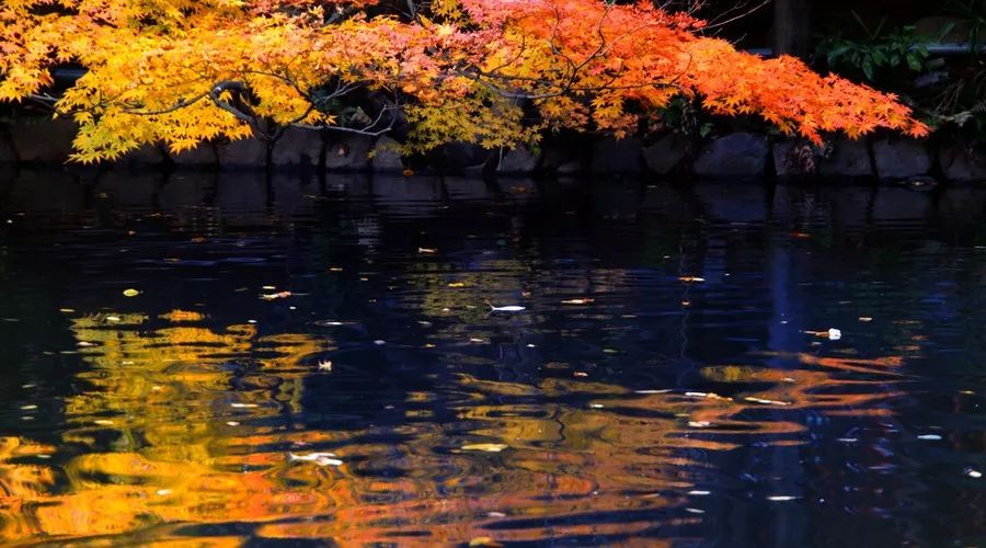 茶隱·喜在山舍，上有茶山下有九溪肆意虛度生活