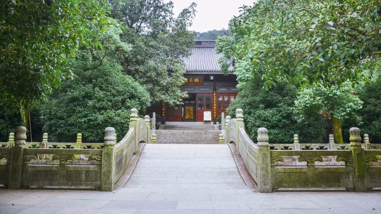 茶隱·喜在山舍，上有茶山下有九溪肆意虛度生活