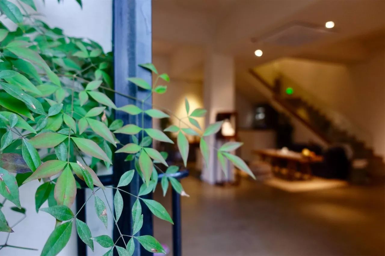 茶隱·喜在山舍，上有茶山下有九溪肆意虛度生活