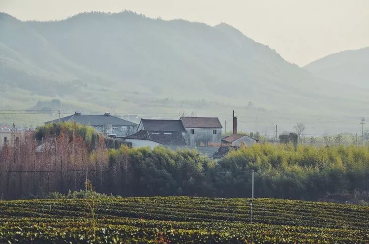 桐廬·云溪上，想要大片的田園被云朵環(huán)繞!