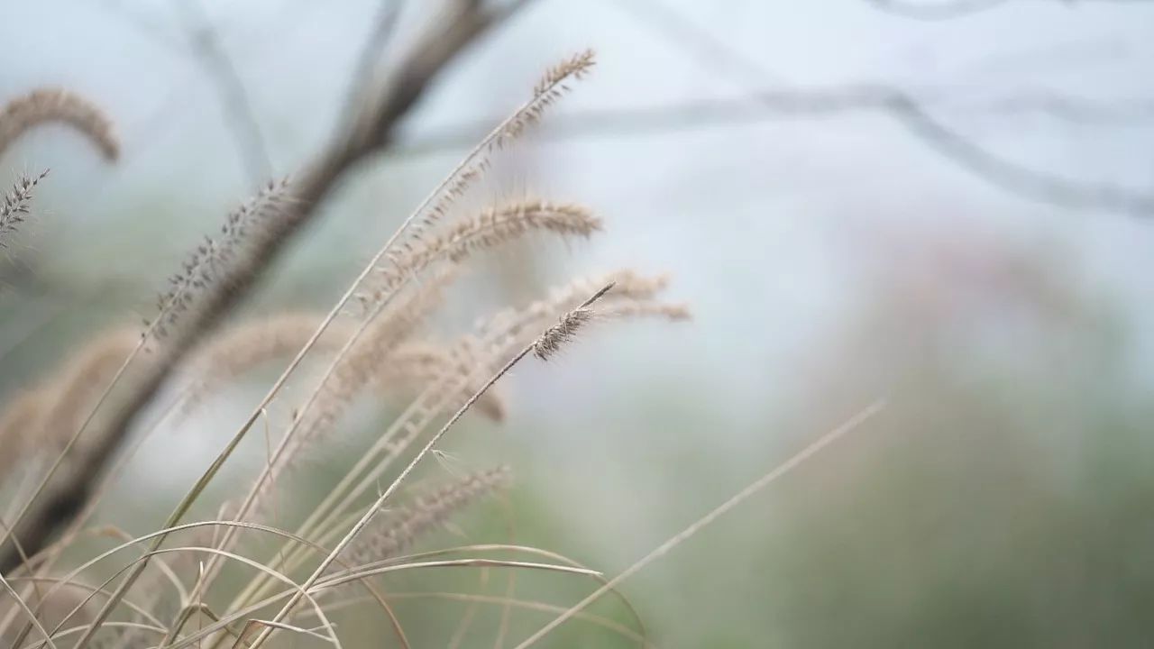 桐廬·云溪上，想要大片的田園被云朵環(huán)繞!
